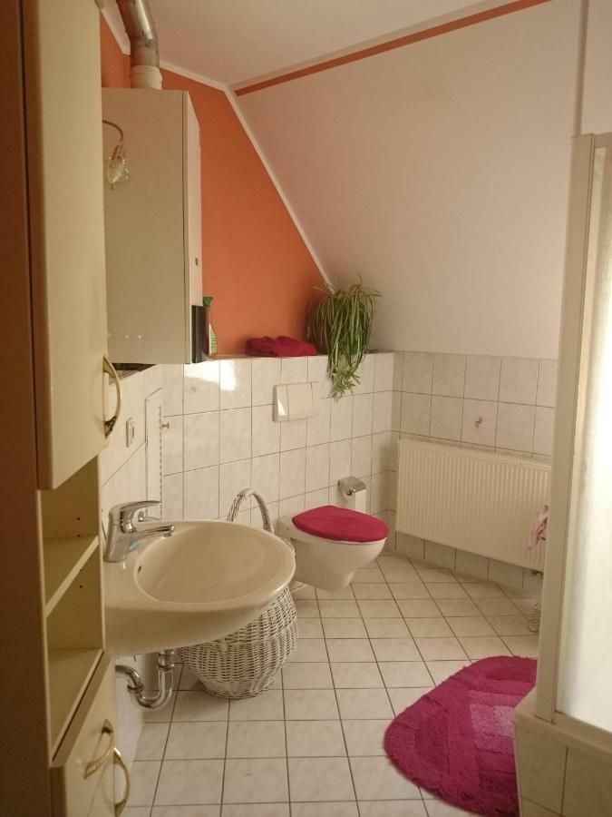 Ferienwohnung Knoche Zittau Dış mekan fotoğraf